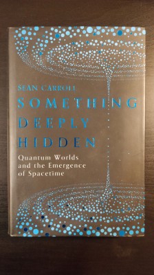 Something Deeply Hidden (hardcover) - Sean Carroll foto