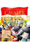 O zi din viata unui cavaler - Andrea Hopkins