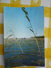 Delta Dunarii - Peisaj - vedere circulata 1963 foto