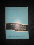 TEOFIL TEAHA - GRAIUL DIN VALEA CRISULUI NEGRU (1961, cu autograf si dedicatie)