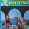 FEMEIA DIN LAC-RAYMOND CHANDLER-108532