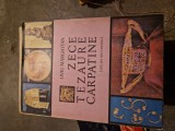 Zece tezaure carpatine vintage