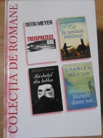 TREISPREZECE ORE, CAI PE JUMATATE IMBLANZITI, BARBATUL DIN TABLOU, MUNTELE DINTRE NOI-DEON MEYER, J. WALLS,-111220