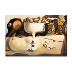 reproducere pictată în ulei Salvador Dali, Martwa natura z owocami
