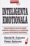Inteligența emoțională: Cum să dezvolți și să folosești principiile esențiale...