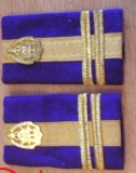C2 2 - Grade militare - locotenent colonel logistica