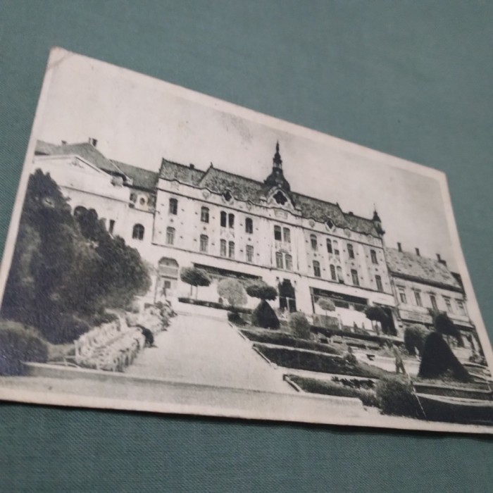 CARTE POSTALA SATU-MARE -IN PARC CIRCULATA