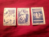 3 Timbre Vignete - Ajutor Mama si Copilul Germania VDU anii '30