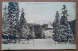 Carte postala, Sinaia, Castelul Pelisor iarna, perioada interbelica