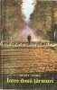 Intre Doua Tarmuri - Henry James, Romhelion 1993, 462 pagini, Roman