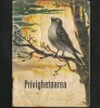 Privighetoarea - Editura Ion Creangă - Carte Povesti Copii