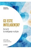 Descopera Neurostiinta. Ce este inteligenta? De la IQ la inteligente multiple - Bertrand Regader, Adrian Triglia, Jonathan Garcia-Allen