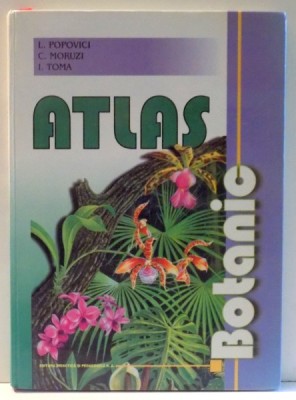 ATLAS BOTANIC de L. POPOVICI, C. MORUZI, I. TOMA , 2007 foto