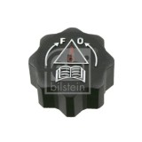 Febi Bilstein buson, vas expansiune