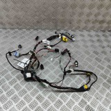 Cablaj Usa Stanga Spate Tesla Model X 2020 OEM 2032441-00-A