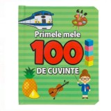 Carte Educativa pentru Copii, &quot;Primele 100 de Cuvinte&quot;, Oem