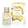 BEA54-100 Apa de parfum Colabo Citrus Lemon and Petitgrain 100 ml
