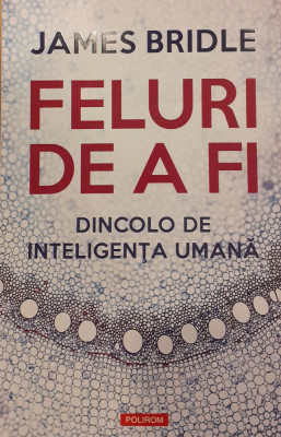 Feluri de a fi Dincolo de inteligenta umana foto