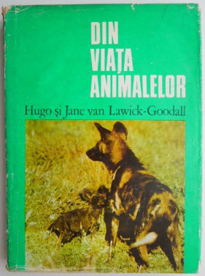 Din viata animalelor &amp;ndash; Hugo si Jane van Lawich-Goodall foto