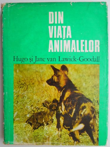 Din viata animalelor &ndash; Hugo si Jane van Lawich-Goodall