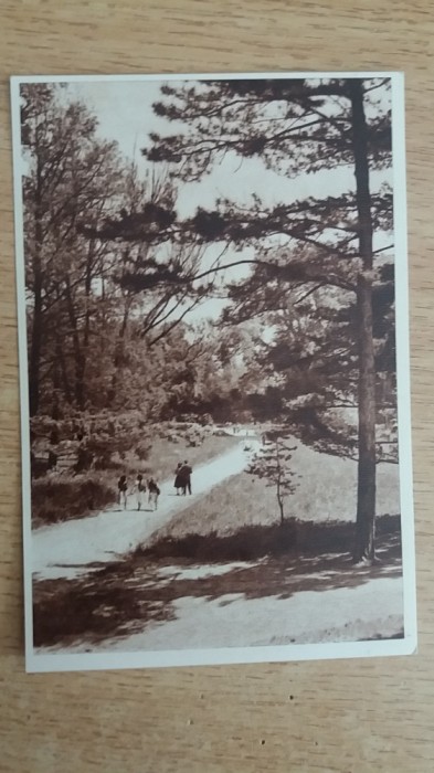 QW23 B - Carte postala - tematica turism - vedere - Romania - Bucuresti 219