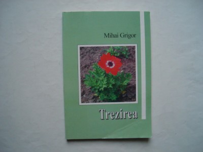 Trezirea - Mihai Grigor foto