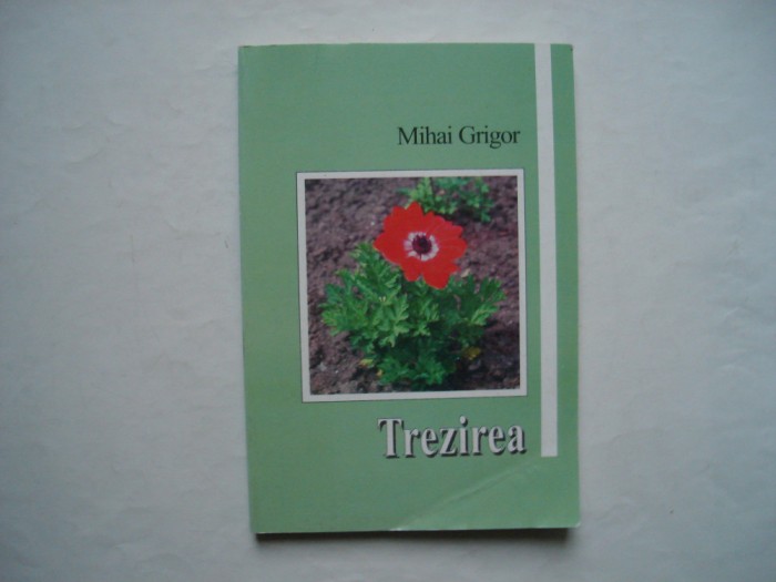 Trezirea - Mihai Grigor