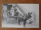 Carte postala -Auvergne- FRANTA