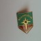 QW9 J 100 - Insigna - tematica pionieri - Roza vanturilor - locul 2