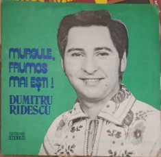 Disc vinil, LP. MURGULE, FRUMOS MAI ESTI!-DUMITRU RIDESCU-247946 foto