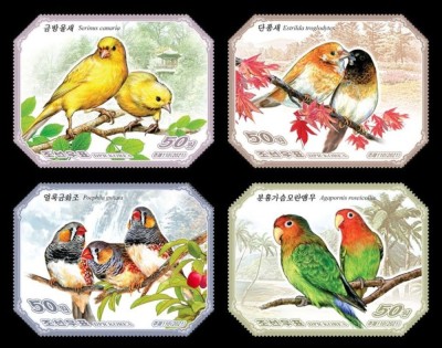 COREEA DE NORD 2021 FAUNA PASARI foto