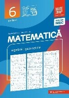 Matematică. Algebră, geometrie. Clasa a VI-a. Consolidare. Partea I foto