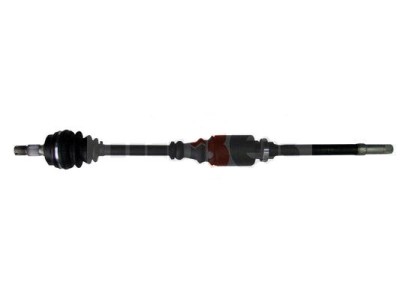 Planetara Peugeot Partner 1996-2008, Citroen Berlingo (Mf), 07.1996-12.2011; Xsara, 04.1997-12.2005; Fata Dreapta, EAI T29150 foto