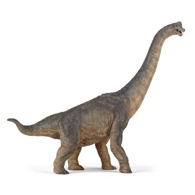 Papo - figurina dinozaur Brachiosaurus foto