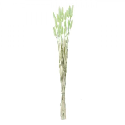 Ramuri Decorative Artificiale, Bunny Tails, 60cm, Culoare Verde Menta, Set 25 Bucăți foto