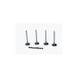 Set Supape Admisie 540318 30463