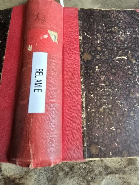 Bel-Amie. Tare ca moartea - Guy de Maupassant (colegate)