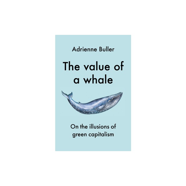 How to Value the Earth: .