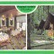 bnk cp Braila - Popasul turistic Stejarul - necirculata