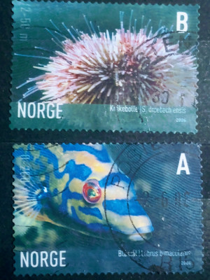 Norvegia 2006, fauna marina, serie 2v..stampilata foto