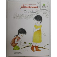LA PLIMBARE de EVE HERRMANN , ilustratii de ROBERTA ROCCHI , SERIA &#039; POVESTIOARELE MELE MONTESSORI &#039; , 2016