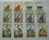 NIGER SERIE FAUNA