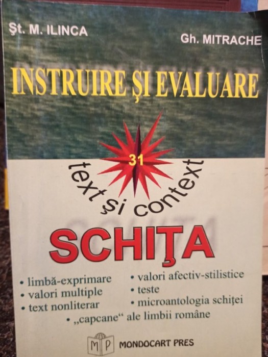 St. M. Ilinca - Text si context - Schita (Editia: 2002)