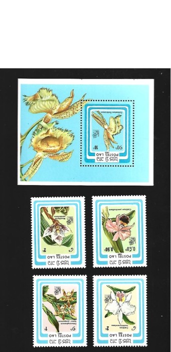 laos flori mnh