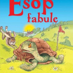 Esop. Fabule (repovestire) - Hardcover - Esop, Carol Watson - Didactica Publishing House