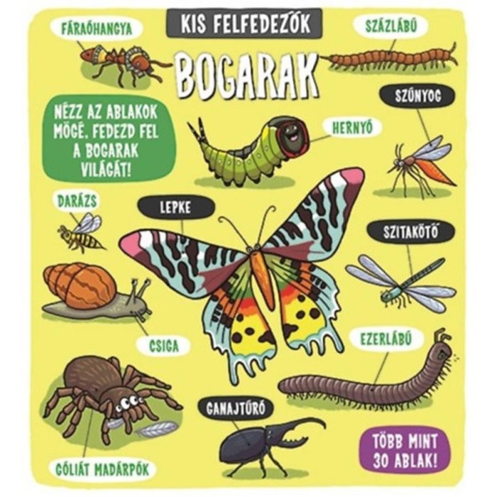 Kis felfedezők - Bogarak - Tascha Percy-Baxter