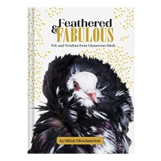 Feathered and Fabulous
