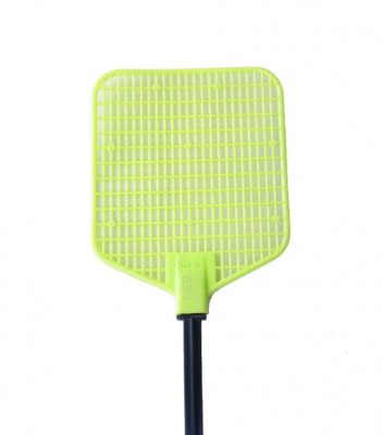 Paleta muste electrica foto