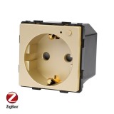 Priza inteligenta Zigbee Luxion cu monitorizare consum, aurie, modul fara rama