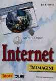 Internet in imagini - 2003 - Joe Kraynak (A141)